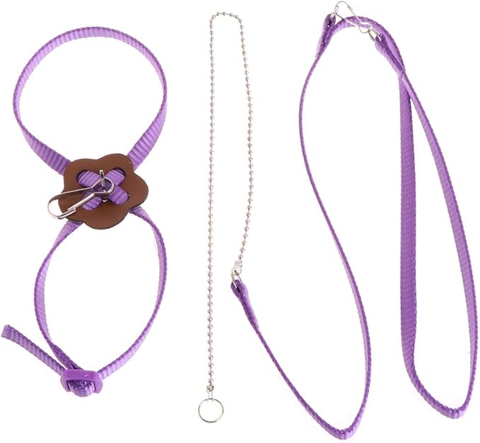 Pet Bird Harness Leash, Adjustable Parrot Flying Rope, Bright Color for Parrots, Pigeons, Lovebird, Outdoor Training, Anti-Flyaway, Green, Purple, Pink, Blue, Orange, 0.8x120cm/0.31x47.24''
