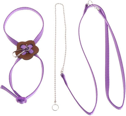 Pet Bird Harness Leash, Adjustable Parrot Flying Rope, Bright Color for Parrots, Pigeons, Lovebird, Outdoor Training, Anti-Flyaway, Green, Purple, Pink, Blue, Orange, 0.8x120cm/0.31x47.24''