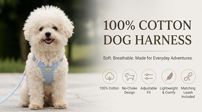 AetruffyPet 100% Cotton Dog Harness and Leash Set – Soft Breathable Vest for Small Dogs, Adjustable No-Choke Design, Lightweight Walking Set (XS/S/M) (Black, M)