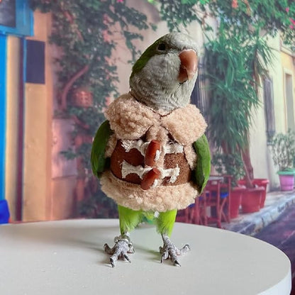Bird Diaper Flight Suit Parrot Costume pet Animal Costume, Applicable to Birds and Parrots Warm Supplies. (2M)