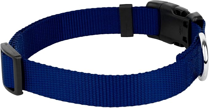 Country Brook Petz - Everyday Nylon Dog Collar and Leash - 10+ Cool Colors (1 Inch, Extra Large, Royal Blue)