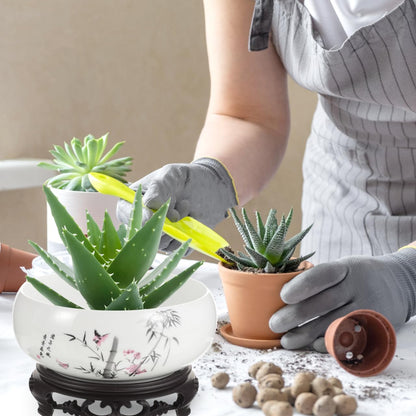 Toddmomy Hydroponic Ceramic Flowerpot Plant Pots Indoor Planters Indoor Ceramic Water Lily Bowl Vase Garden Flower Pot Ceramic Plant Pot Garden Bowl Orchid Pot Betta Fish Money Ceramics