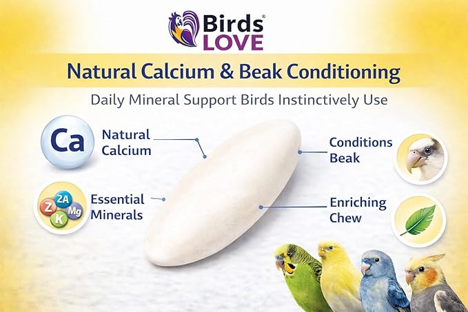 Birds LOVE 7.5-8" Cuttlebone for Birds – 100% Natural Sun-Dried Calcium Carbonate Mineral Supplement – for Parakeets, Budgies, Cockatiels, Finches & Canaries – 6 Pack with Holder – Made in Vietnam
