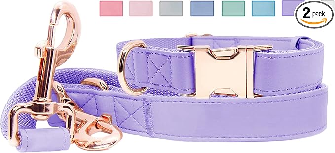 Soft Leather Dog Collar and Leash (6.6') Set - Stylish Rose Gold Heavy Duty Metal Buckle, 4 Adjustable Lengths Leash for Small Medium Large Dogs - Comfortable & Easy to Clean (M, Light Purple)