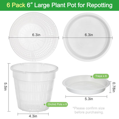 MYITYARD Orchid Pot, 6 Pack 6 Inch Orchid Pots with Holes & Saucers for Repotting - Clear Plastic Plant Pots for Indoor Outdoor Flower Planters Dendrobium Phalaenopsis