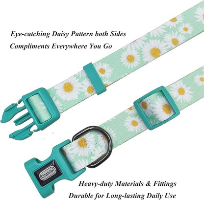 Dog Collar Leash Set, Floral Pattern, Polyester Material, Adjustable Collar and 5ft Matchcing Leash, for Medium Dogs.(M, Light Green Daisy)