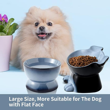Nihow Dog Food & Water Bowls: Elevated Ceramic Bowls for Medium/Small Dog | Food Safe Raised Puppy Bowls - Gray Pet Bowl for Protecting Pet's Spine (Set of 2)