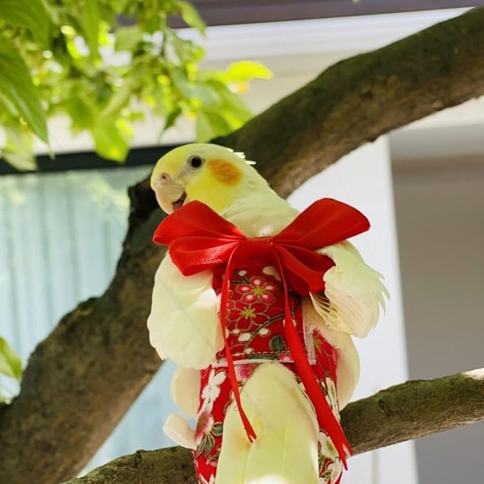 Bird Diaper Parrot Washable Diapers, Parrot Flight Suit, Reusable Nappies for Parakeet Cockatiel Mini Macaw Budgie Conure Lovebird (Black,XS)