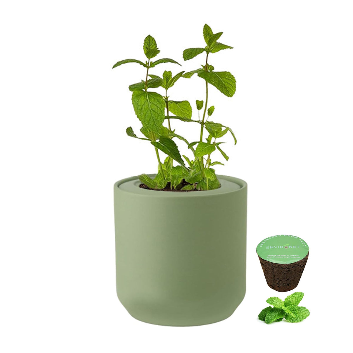 Environet Hydroponic Herb Growing Kit, Self-Watering Kitchen Herb Garden Starter Kit with Green Ceramic Pot and Seeds (Mint)