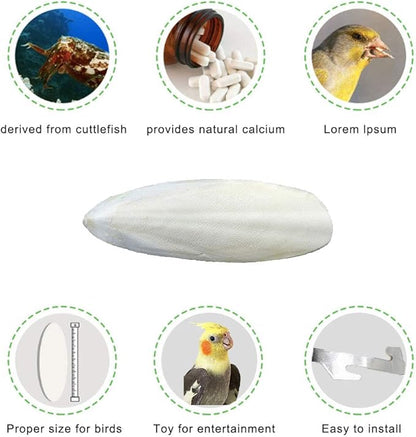 2 Pack Big Cuttlebones for Birds Parakeets Cockatiels African Greys All Parrots Tortoise Snails Animals, 6.3-6.5inch Large Cuttlefish Bones with Holder for Bird Cage