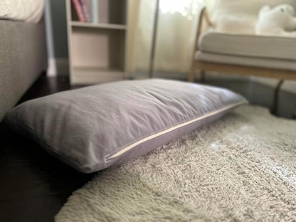 Natural Cotton Canvas Dog Bed – Raw Cotton Filled Pet Cushion Insert, Breathable Eco-Friendly Dog Mattress, Durable Washable Cover with Zipper (Blue Gray, Large 48"x30"x5")