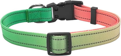 Dog Collar Leash Set, Gradient Color, with Safety Reflective Strips, 5 ft Matching Leash, Neoprene Padded Handle, Adjustable 4 Sizes for Small Medium Large Dogs.(XS, Green Orange)