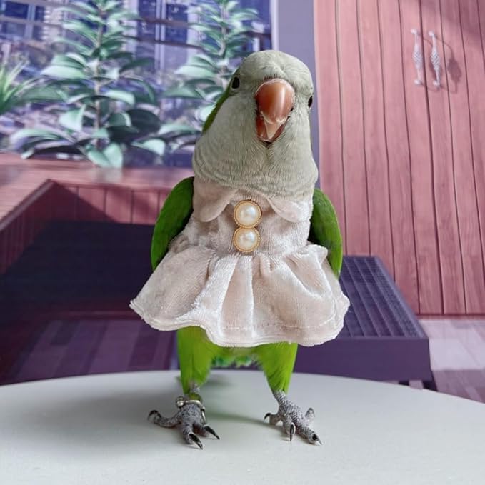 Bird Costume Bird Diaper Flight Suit Parrot Velvet Fleece Skirt Clothes Cosplay Photo Prop for Conure Lovebird Parakeet Cockatiel Macaw Small Animals Apparel (White,Medium)