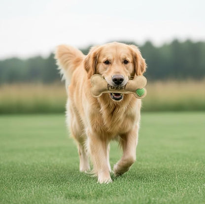 Fuzzl Large Leather Bone Dog Toy Natural and Tough Dog Toys - Long Lasting Chew Toys for Aggressive Chewers - Strong Dog Toy for Dogs and Puppy