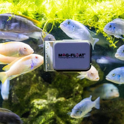 Mag-Float Mini 25 Cleaner for Glass & Acrylic Tanks| Magfloat Magnetic Betta Fish Tank Cleaner | Magnet Cleaning Tool for Aquarium Scrubber Brush Cleaning Tool