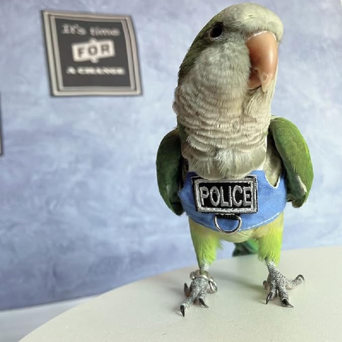 Bird Flight Harness Vest, Parrot Flight Suit with Leash, Bird Flying Clothes with Rope and Handle for Outdoor Activities (Without Leash,Cockatiel) (Without, 3XL)