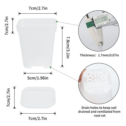 KINGLAKE 3inch Nursery Pots,24 Pcs Thick Plastic Square Planter Pots,Flower Plant Container Seed Starting Transplanting Pots (Clear)