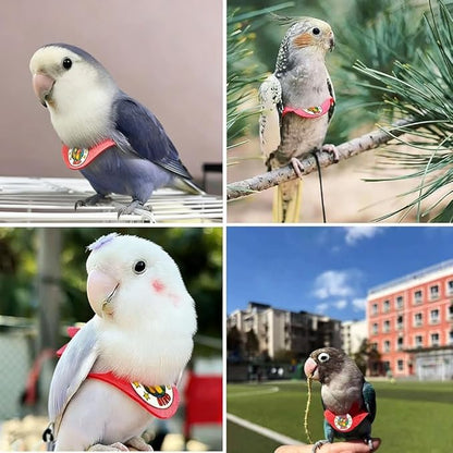 Adjustable Bird Harness & Leash Set for Small Birds,FitsBudgie,Parakeets, Conures, Cockatiels,Green Cheek,Quaker Parrots(Red, XL) Z6350-11