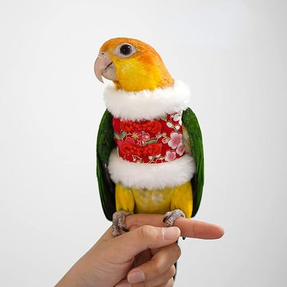 Bird Flight Suit & Clothes Cosplay Photo Prop for Parrots, Parakeet, Cockatiel & Sun Conure - Bird Hoodie Small Animals Apparel (Black, X-Large)