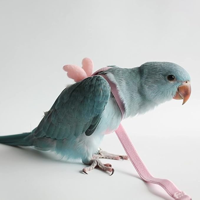 Pet Parrot Bird Harness Leash Adjustable Bird Flying Harness Traction Rope with Cute for Parrots Budgerigar Lovebird Cockatiel Mynah Outdoor Training Toy (Cockatiel/Green-cheeked Conure,Pink)