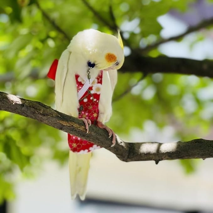 Bird Diaper Cockatiel Clothes Flight Suite, Reusable Parrot Nappy with Waterproof Inner Layer, Cute Pigeon Pants Urine Wet Suit Costume for Conure Macaw (Red,L)