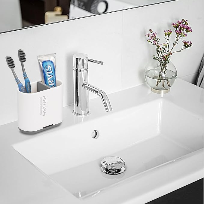 Chintu Toothbrush and Toothpaste Holder
