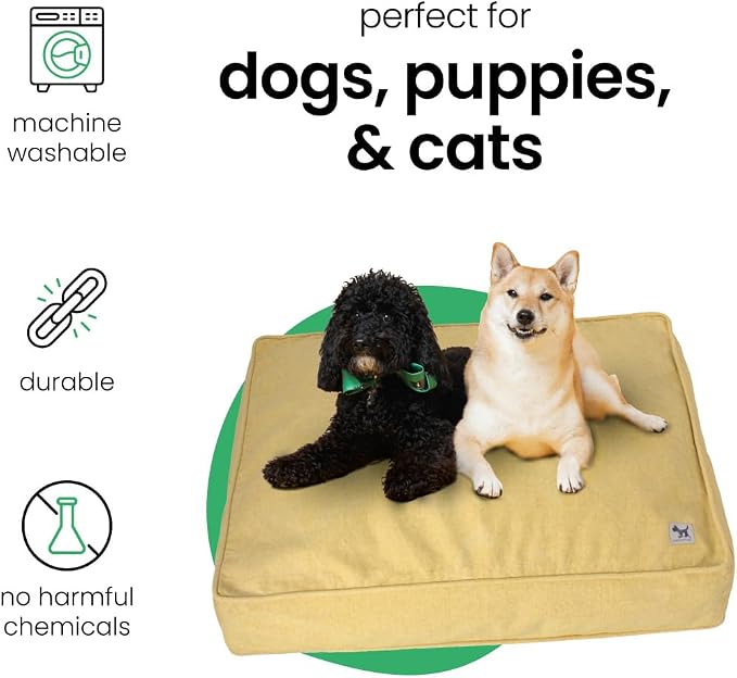 Molly Mutt Elysium Dog Bed Duvet Cover, GOTS-Certified 100% Cotton Canvas Cover for Dog, Puppy, or Cat Bed, Durable, Washable, and Free of Harmful Chemicals, Medium/Large, 27"x36"x5", Yellow