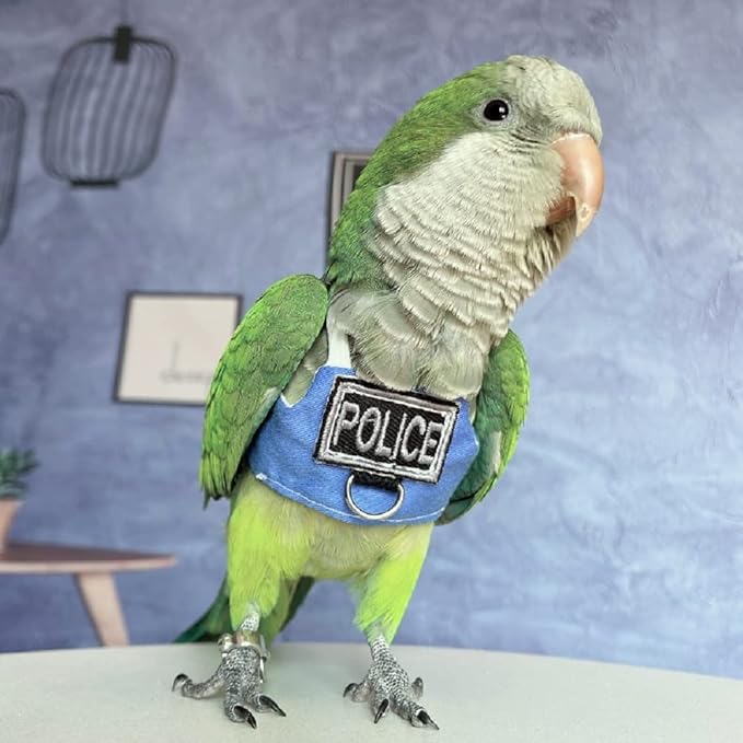 RRRIOT Bird Flight Harness Vest, Parrot Flight Suit with Leash, Blue, Medium, Cotton, Anti-Slip Rubber, Zipper Closure, Suitable for Parrots, Birds