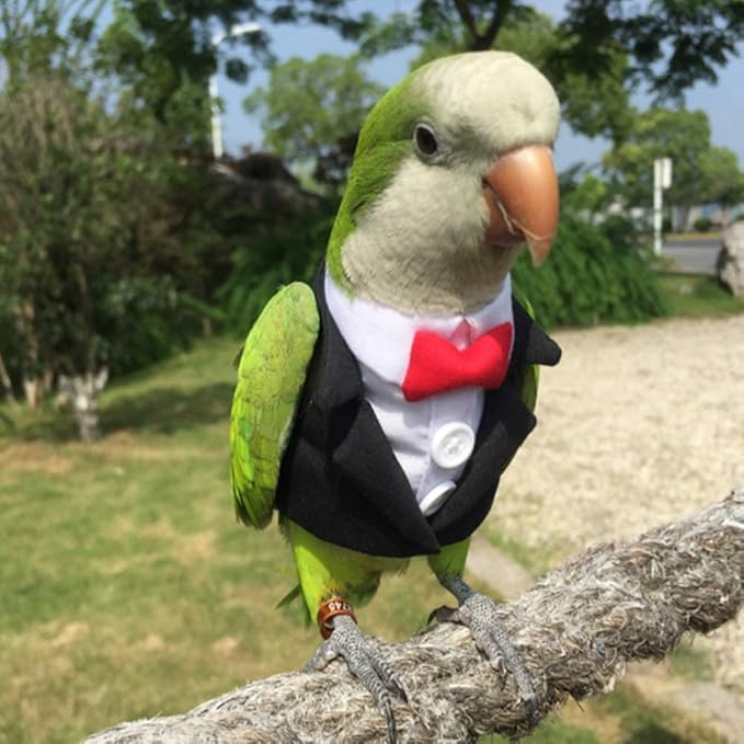 Bird Clothes Birds Flight Suit,Tuxedo Business Suit for Parrots African Greys Parakeet Cockatiel Sun Conure Christmas Party Birthday Cosplay Photo Prop Small Animals Apparel (S,Black Suit)