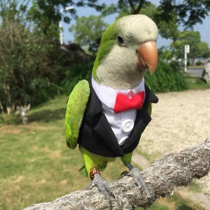 Bird Clothes Birds Flight Suit,Tuxedo Business Suit for Parrots African Greys Parakeet Cockatiel Sun Conure Christmas Party Birthday Cosplay Photo Prop Small Animals Apparel (S,Black Suit)