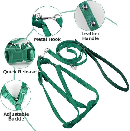 ASOCEA Adjustable Bird Harness and Leash, 2 Pack Bird Food Stainless Steel Cups for Yellow Naped Amazons Galah Cockatoos Small to Medium Breed Parrots Fits Birds Chest