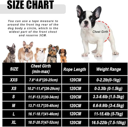 FEimaX Dog Harness and Leash Set for Walking, Soft Mesh Adjustable Easy Control Lightweight Cat Vest Harnesses with Reflective Strips, Escape Proof Small Dogs Cats Vests (Black, Medium)