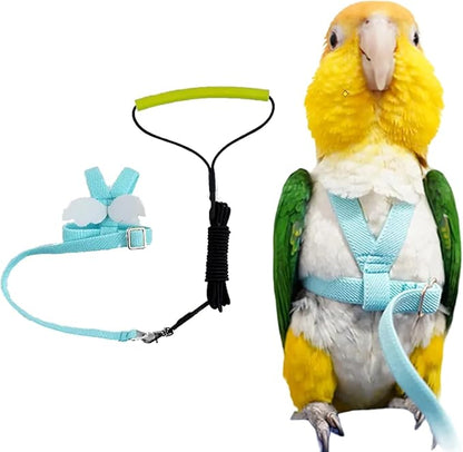 Bird Harness Leash Adjustable Outdoor Training Flying Harness Traction Rope with Cute Wing for Parrots Pigeons Budgerigar Lovebird Cockatiel Mynah (XL,Blue)