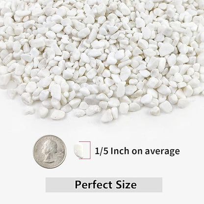 YISZM 10LB Succulent and Cactus Gravel, 1/5 Inch White Natural Decorative Polished Pebbles for Landscaping, River Rocks for Plants, Vases, Aquariums, Terrarium and Outdoor Gardening