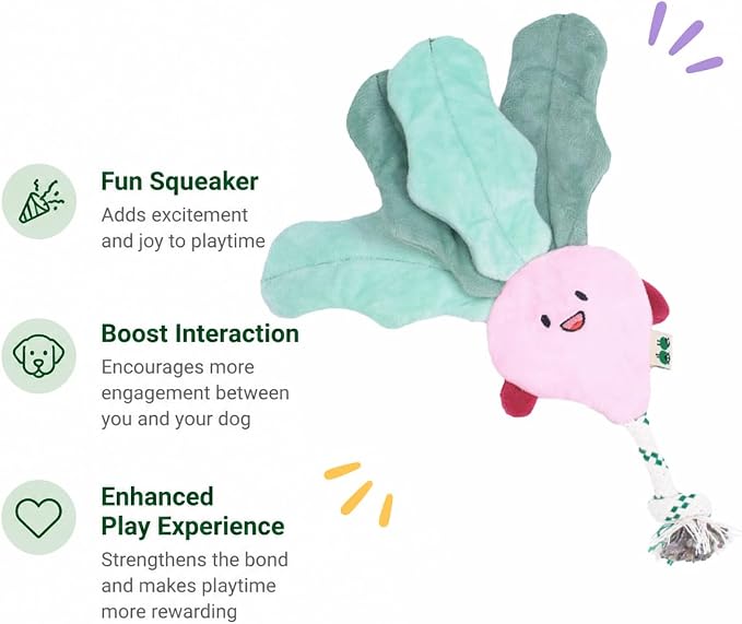 Green Sheep Interactive Plush Dog Toy, No Stuffing Squeaky Toy with Recycled Cotton Rope for Medium to Large Dogs,Radish