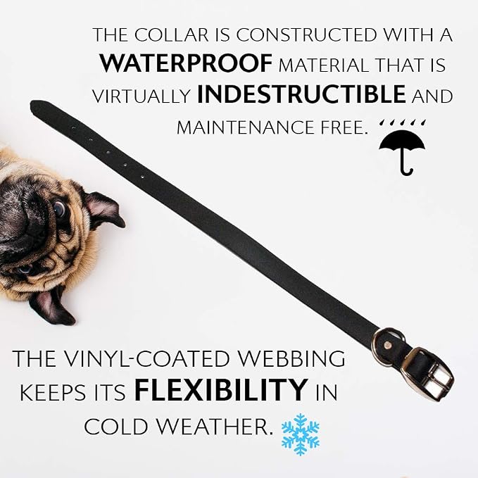 Regal Dog Products Small Black Waterproof Dog Collar and Leash Set | Heavy Duty Double Buckle & D Ring - 5'ft Leash | Adjustable Biothane Dog Collar | Chew Resistant Waterproof Collar for Dogs