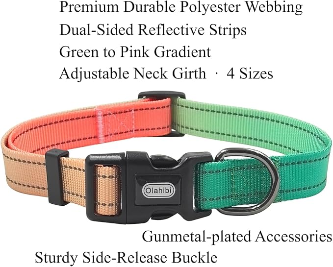 Dog Collar Leash Set, Gradient Color, with Safety Reflective Strips, 5 ft Matching Leash, Neoprene Padded Handle, Adjustable 4 Sizes for Small Medium Large Dogs.(XS, Green Orange)