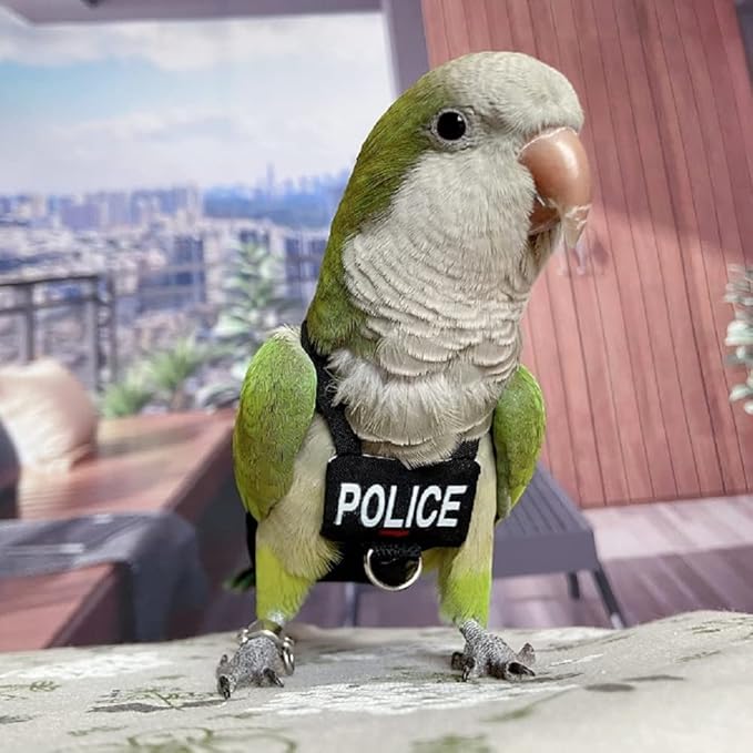 Bird Clothes Parrot Diapers Bird Flight Suits, Reusable Waterproof Diapers pet Bird Supplies (XL)