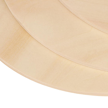 12 PCS 12 Inch Unfinished Wood Circles, Thickness 6mm, Wooden Rounds for Crafts, Wood Discs for DIY Painting Decorations, Weddings and Parties,by GNIEMCKIN