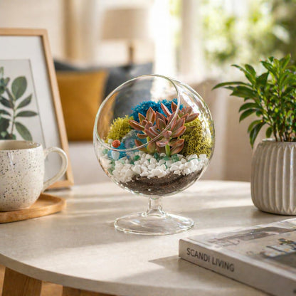 Creations by Nathalie DIY 6" DIY Chalice Terrarium Kit - Build Your Own Glass Terrarium for Adults & Teens with Moss, Crystals, Tools & Decorative Figurine - Mini Ecosystem (Plant Not Included)
