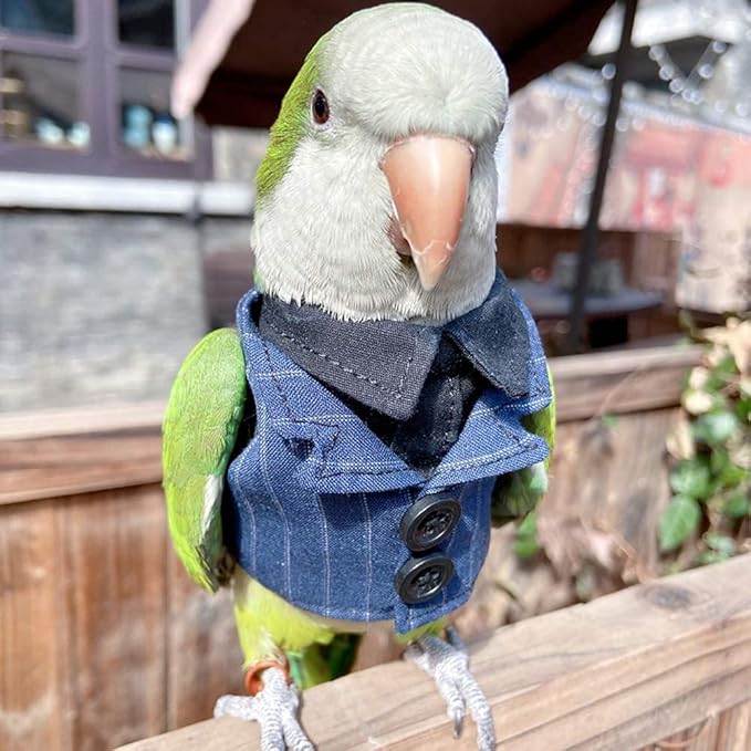 Bird Clothes Birds Flight Suit,Tuxedo Business Suit for Parrots African Greys Parakeet Cockatiel Sun Conure Christmas Party Birthday Cosplay Photo Prop Small Animals Apparel (2XL,Denim Suit)