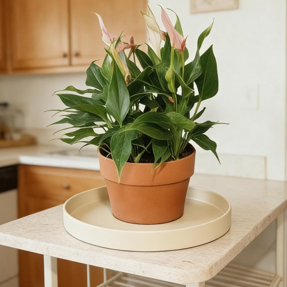 Afrine 1 Pack 12 inch Plant Saucer Drip Tray, Heavy Sturdy Plastic Planter Flower Pot Drainage Tray Plate Saucers for Indoor Outdoor Garden, Plant Water Drip Trays for pots Base (12", Beige)