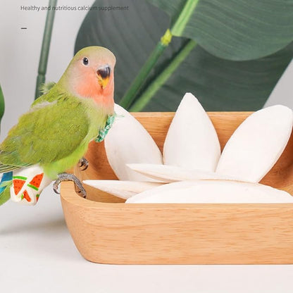 Natural Cuttlebone for Birds Parakeets Canaries Cockatiels Small Conures Mynahs Toucans African Greys All Parrots Snails Totoise, with Holder for Bird Cage (5.5-6 inch,2PCS)