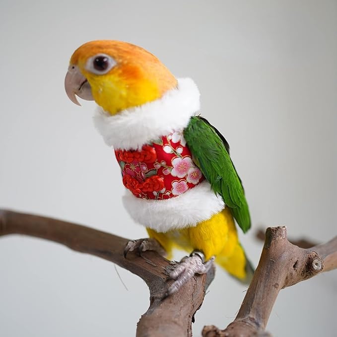 Bird Flight Suit & Clothes Cosplay Photo Prop for Parrots, Parakeet, Cockatiel & Sun Conure - Bird Hoodie Small Animals Apparel (Black, X-Large)