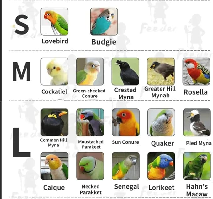 Bird Flight Suit Diapers for Monk Parakeets, Cockatiels - Parrot Clothes, Training Nappy Suit Liners (Small, Red-B)