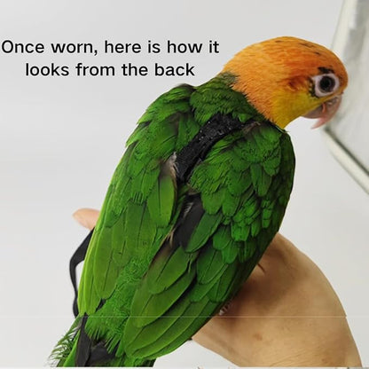 Adjustable Bird Harness and Leash for Parrots Outdoor Flight Training Anti-Bite Light Weight Easy-to-Wear Bird Vest with 59 Inch Elastic Leash for Quaker Conure African Grey Macaw Cockatoo (XXS)