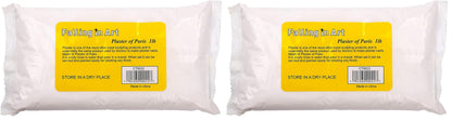 Falling in Art 1lb Plaster of Paris Powder - Hand Mold Casting Kit Powder, Gypsum Cement, Pottery & Ceramic Plaster Powder for Crafts, Sculpture, Diorama and Home Decor (Pack of 2)