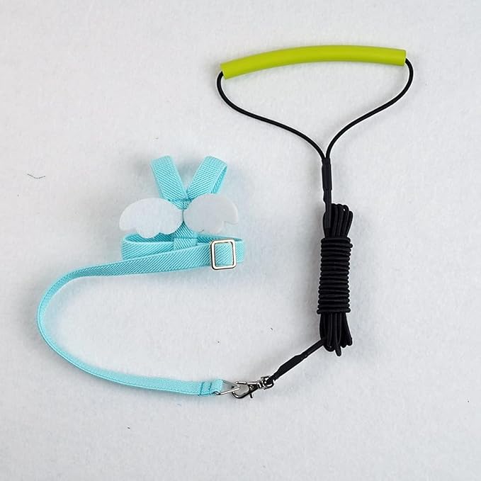 Bird Harness Leash Adjustable Outdoor Training Flying Harness Traction Rope with Cute Wing for Parrots Pigeons Budgerigar Lovebird Cockatiel Mynah (L,Blue)