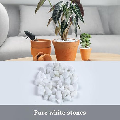 5lb Polished Aquarium Silica Gravel, Decorative Pebbles Substrate for Fish Tank, Vases, All Purpose Silica Gravel for Aquarium, Fire Pits, and Landscaping, Snow White(0.16-0.24”)