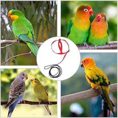 Parrot Harness Leash, Anti Bite Bird Training Leash Adjustable Parrot Flying Rope for Parrot Budgerigar Lovebird Cockatiel